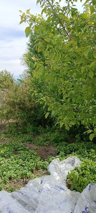Продам дачу зимний вариант