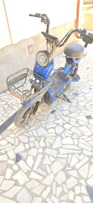 Skuter sotiladii