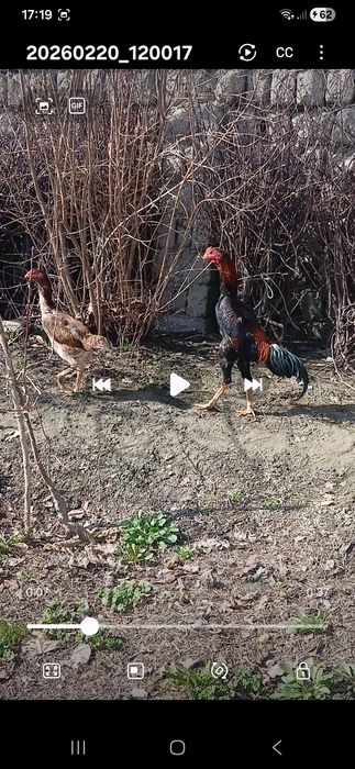 Жужа сотилади манзил