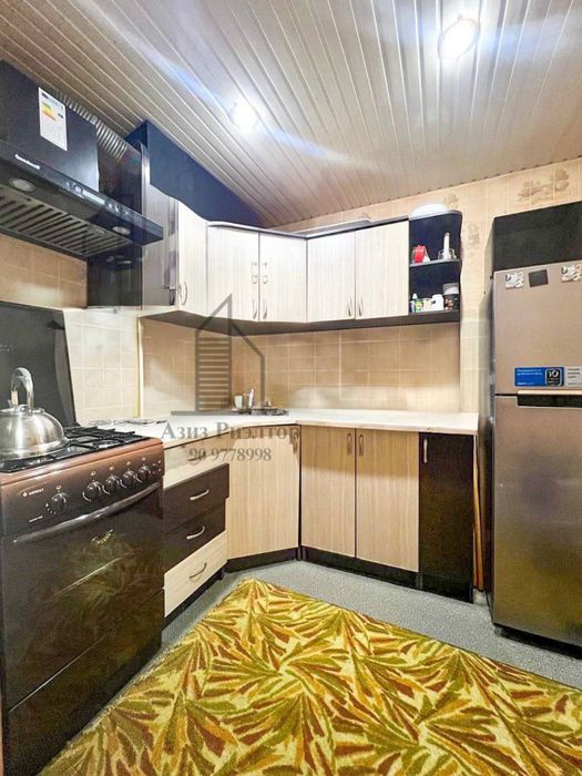 2/4/5 Максим горький 2х6 балкон художники