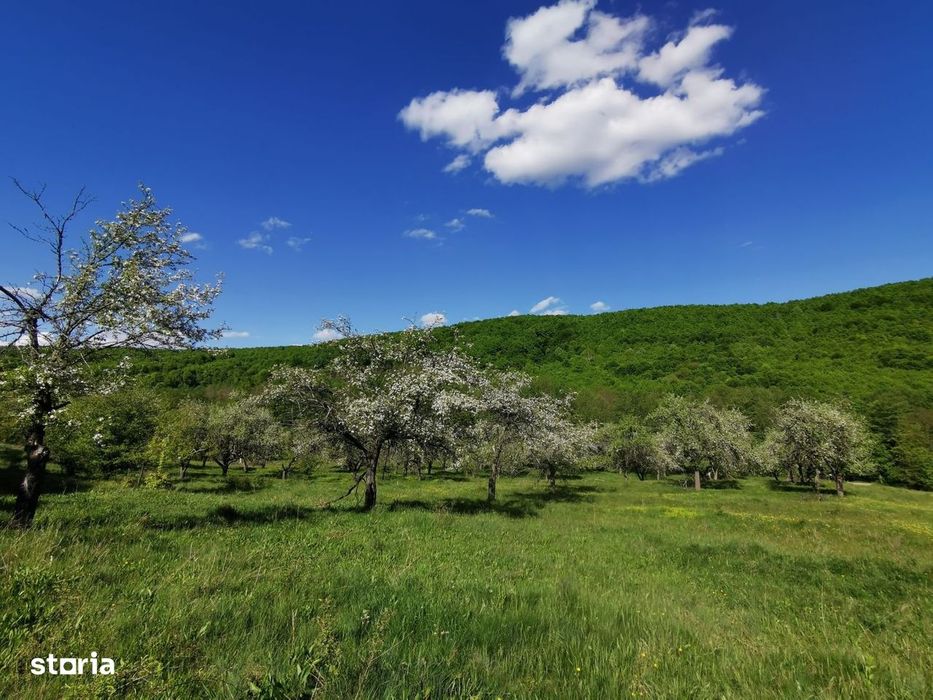 Teren de Vânzare, Budeasa Mica – Potrivit pentru Casă de Vacanță sau I