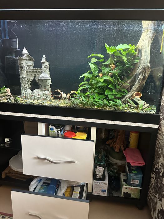 Аквариум 300 литров