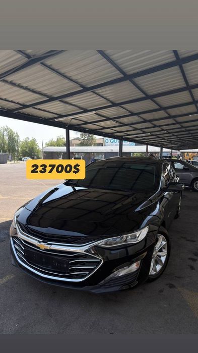Malibu primer 2022