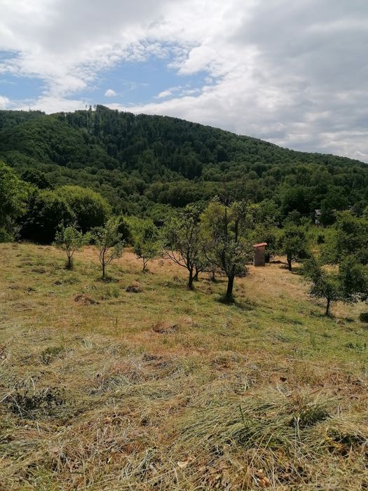 De vanzare teren intravilan 4500 mp,cu casa veche in Sovata