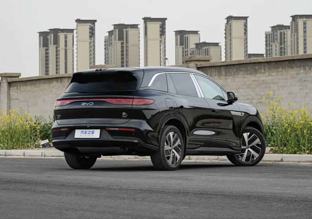 BYD tang L ev and DM-i