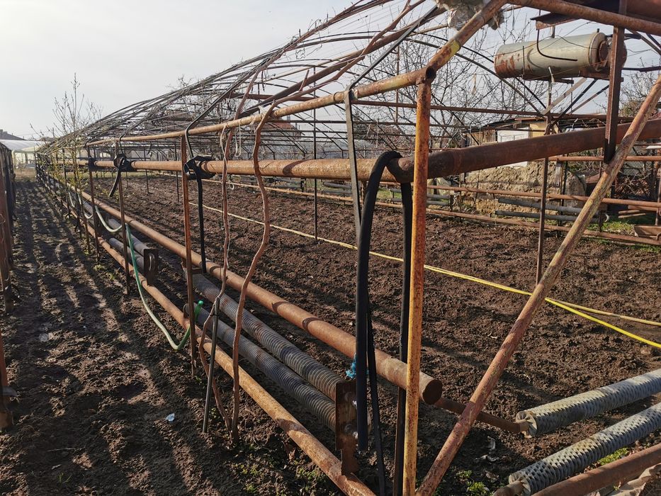 Оранжерии с парно 900кв.м.