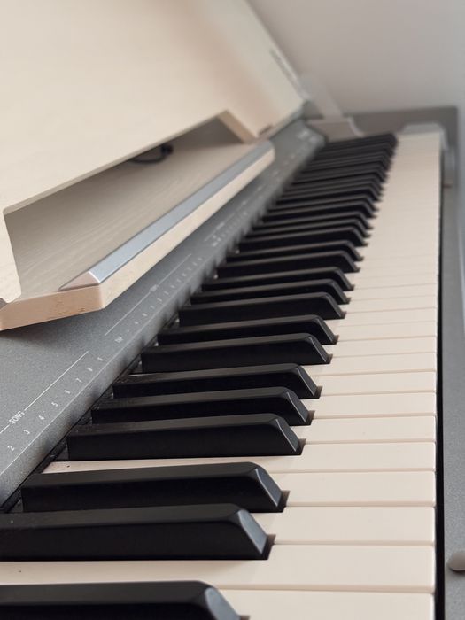 Pian electric Thomann DP-33