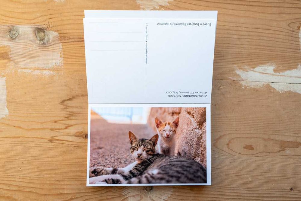 Книжки и пощенски карти на Бездомните Животни