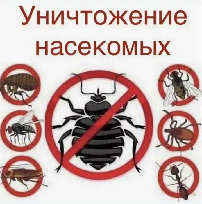 Дезинфекция помещение тараканы термиты