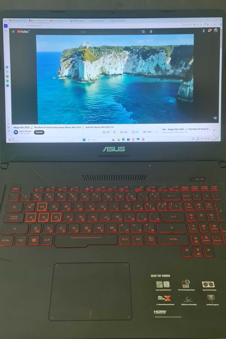 Asus tuf  fx705g / 17.3 / i5 9300h