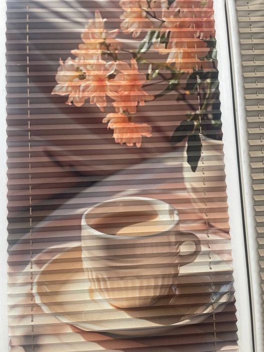 Мы пиридлагяем вам свои кслуги жалюзи ремонт и пириделка мойка  устана