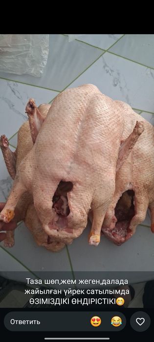 Продам тушки домашних уток