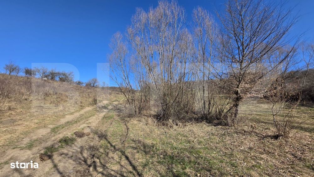 Teren de vanzare de 8,567MP in zona: Tarpiului