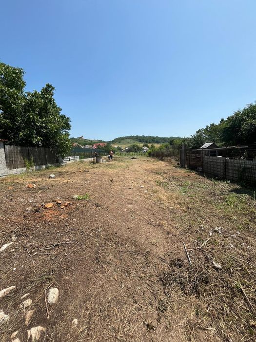 Vand teren com Curtisoara jud Olt intravilan