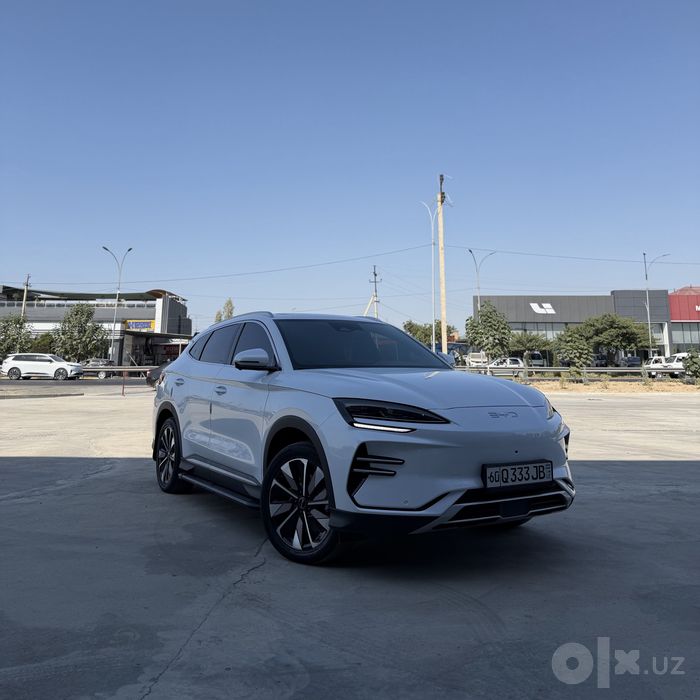 Byd champion restyling