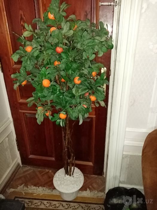 Искусственные мандарины, ствол] атуральный
