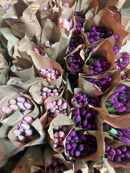 Тюльпаны по 400