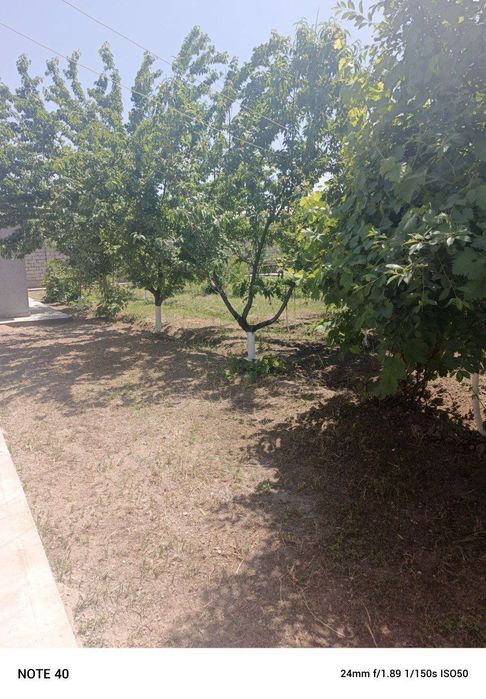 Toytepa dacha 6 sotix srochna