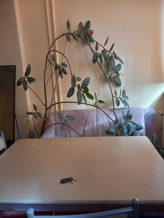 Inchiriez garsoniera spatioasa in Manastur