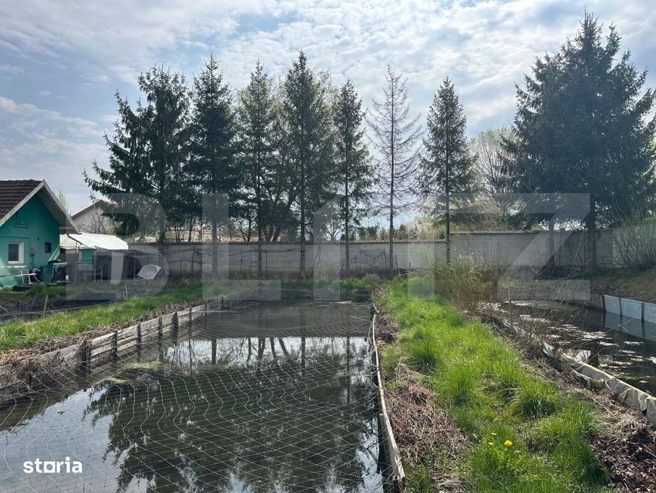 Investitie: Teren constructii si pastravarie - Prejmer, Brasov