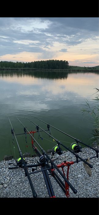 Lansete Fox horizon x4s