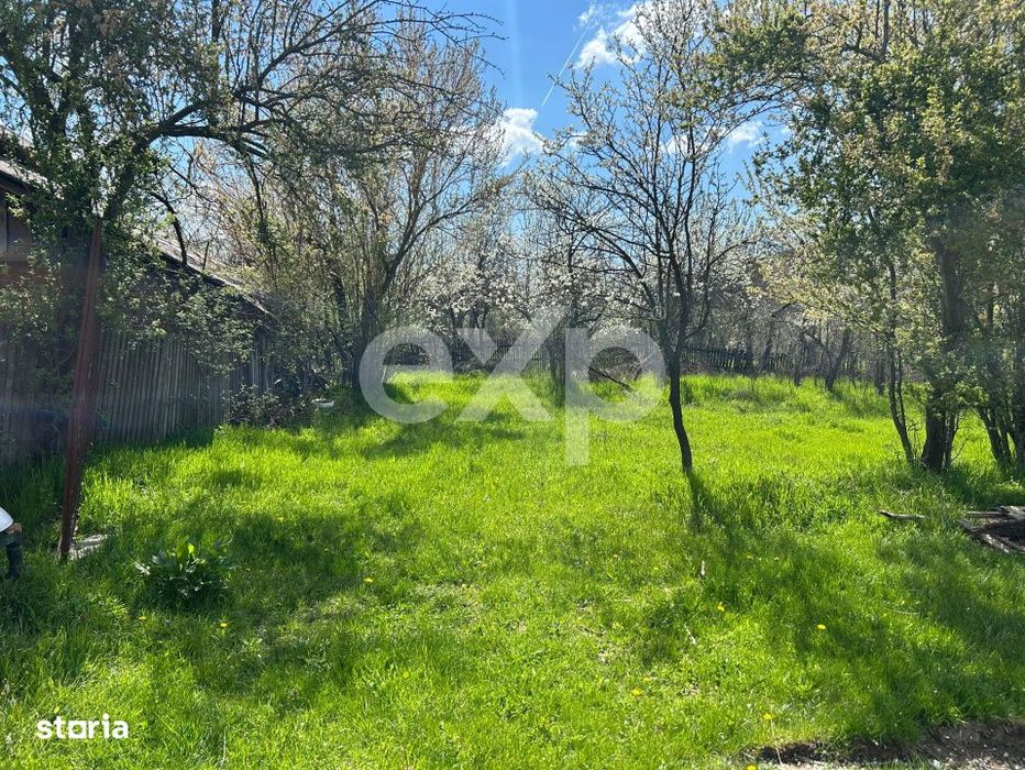 Casa la tara cu teren 3940 mp si livada – zona linistita