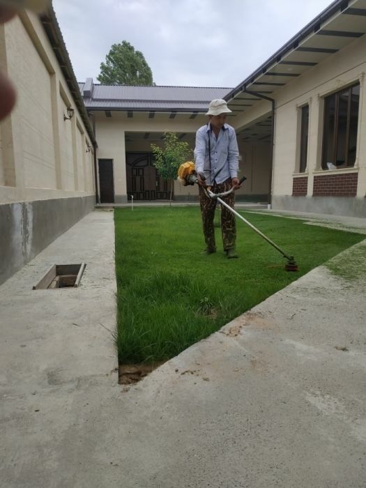 Gazon. Yovvoyi o't. Beda va xashak o'rish xizmati