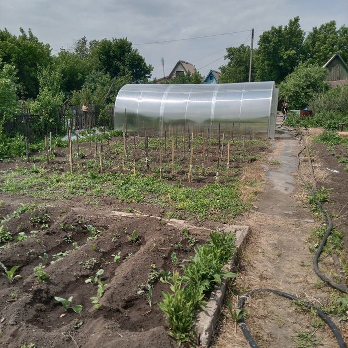 Продам дачу на Черёмушки