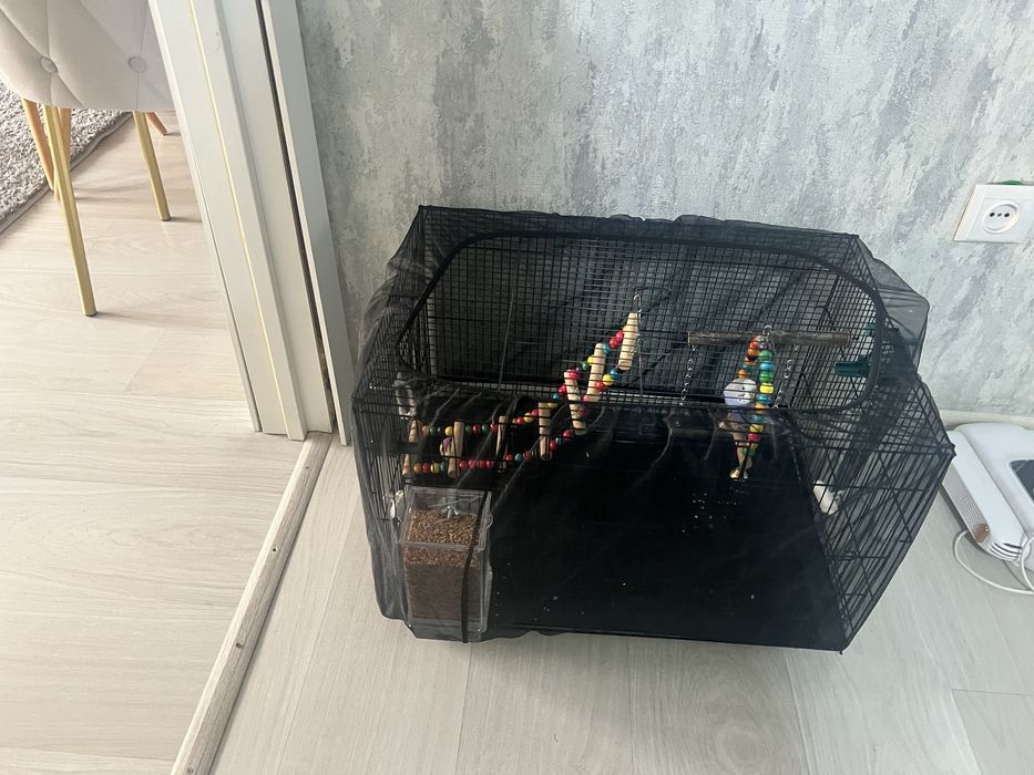 Продам клетку для птиц с попугаем