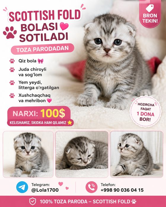 Sotladi qurbon xayt ga arzon