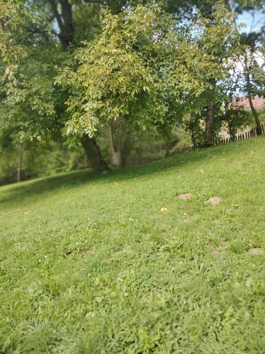 Vând teren intravilan Teșila, Valea Doftanei