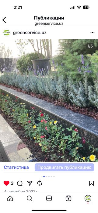 Газоны.Ландшафтный дизайн.Фонтанчики.