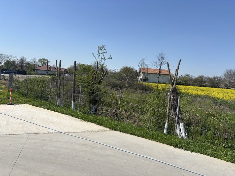 Vand sau inchiriez teren intravilan DJ 101 C Lipia