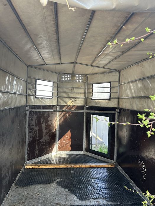 Коневозка для лошадей