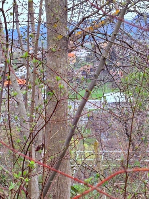 Продавам парцел на Драката