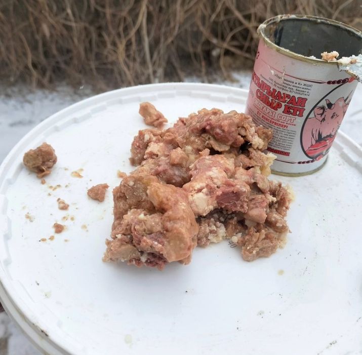 Куриный фарш для собак и для кошек
