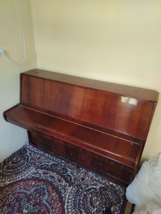 Masalan piano kafolati bilan