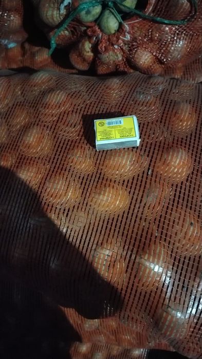 Продам картофель семяной