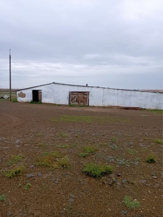 Продается действующее КХ