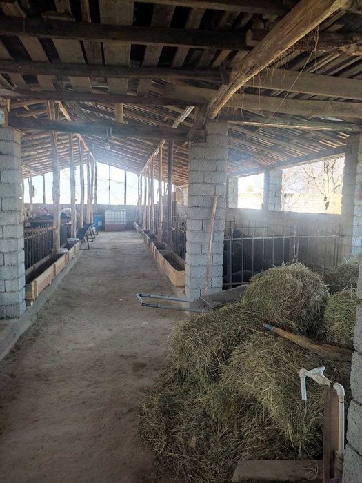 Хусусийлаштирилган уй жой сотилади. Жами 41 сотих.