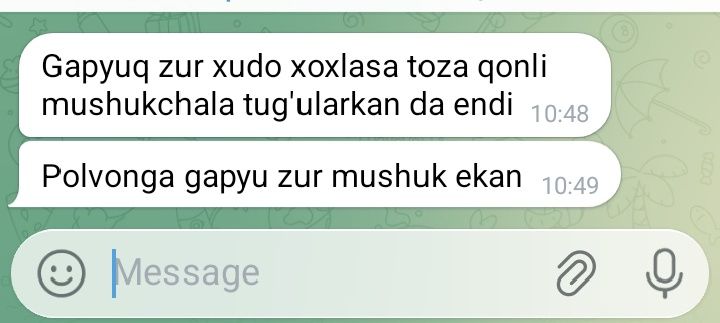 ВЯЗКА !Привозной Клубный Кот