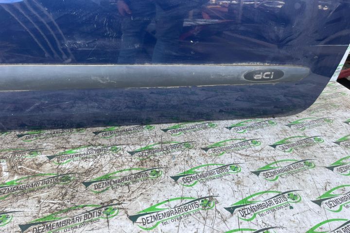 Usa / Portiera fata dreapta Renault Clio a 2-a generatie (facelift)