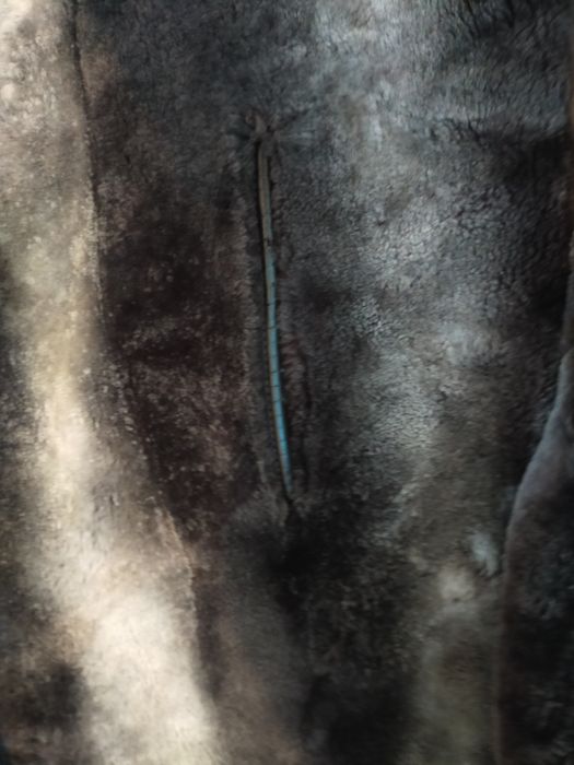 Продам Шубу цыгейка (Мутона)