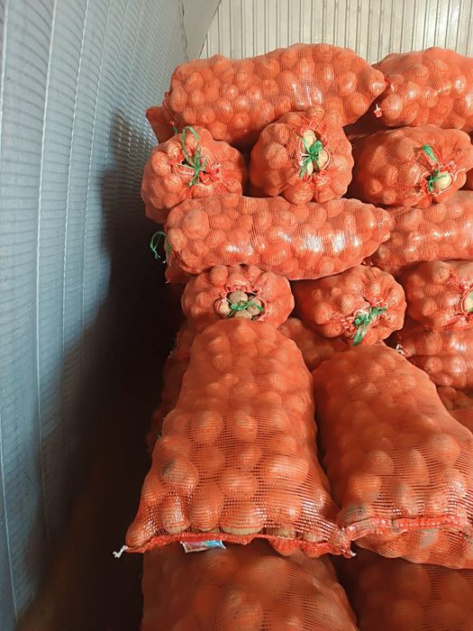 Картошка одборны