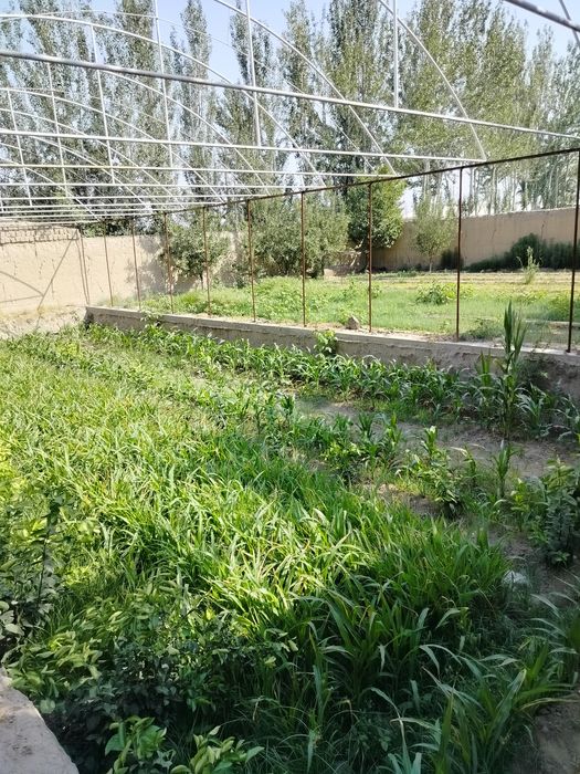 Земельный участок