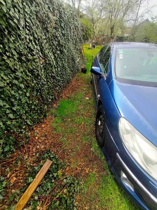 Vand Peugeot407 139 CP