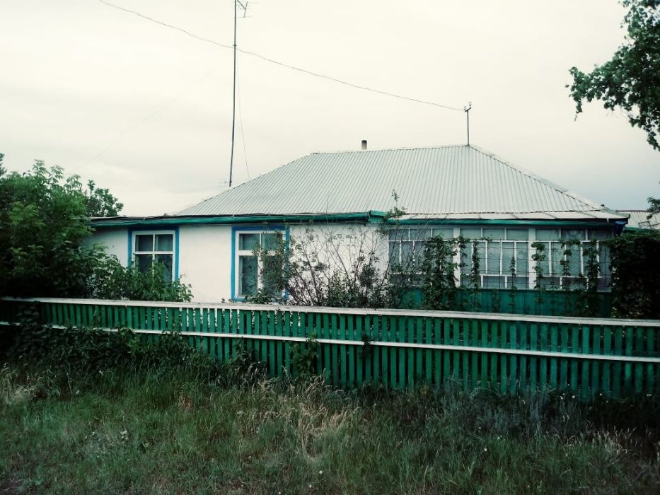 Село горького. Село горькое Тайыншинский район. Село горькое Казахстан. Село горькое Северный Казахстан. Димитровка Северо-Казахстанская область.