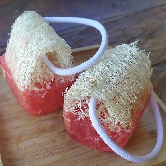 Семена за гъба Луфа