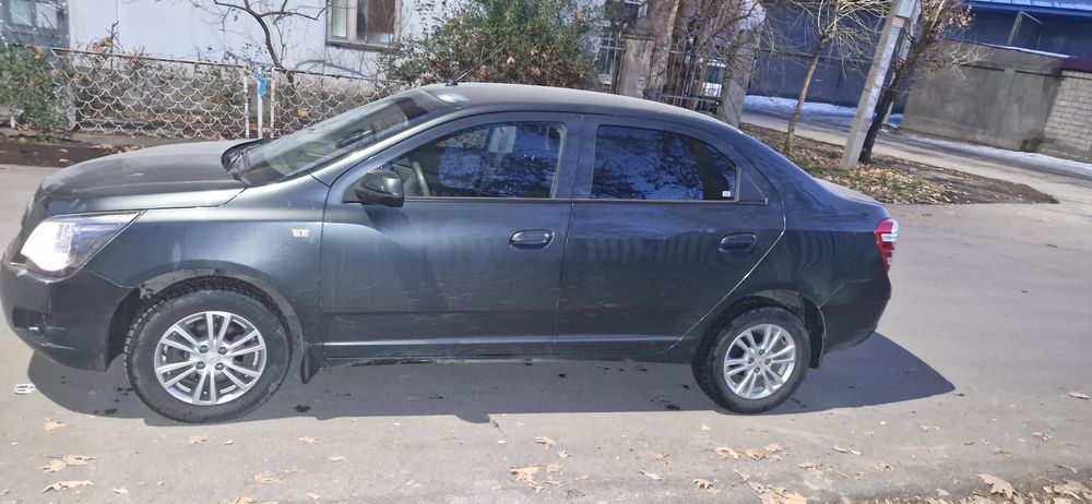 Coblt 2023 sastoyaniya