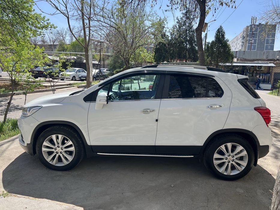 Trackir 1 2019 primeir